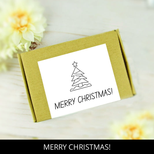 MERRY CHRISTMAS | GIFT BOX