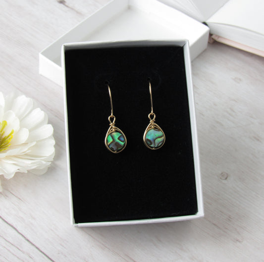 8mm Gold Circle Abalone Earrings