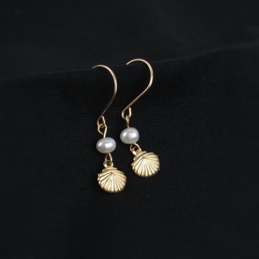 Tiny Gold Shell Earrings