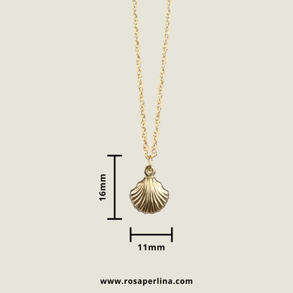Gold necklace with shell pendant on a beige background, showing measurements and Rosaperlinacom branding.