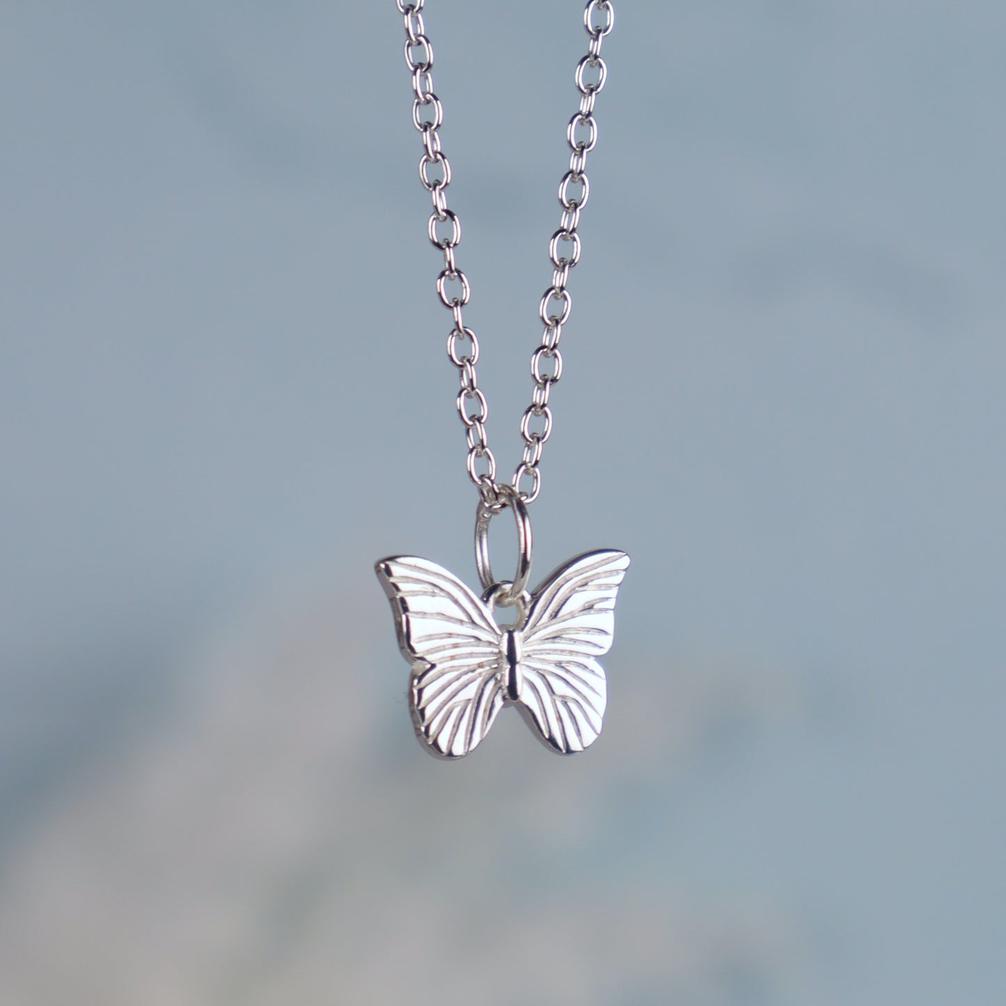 detailed and textured butterfly pendant close up on a blue grey background 
