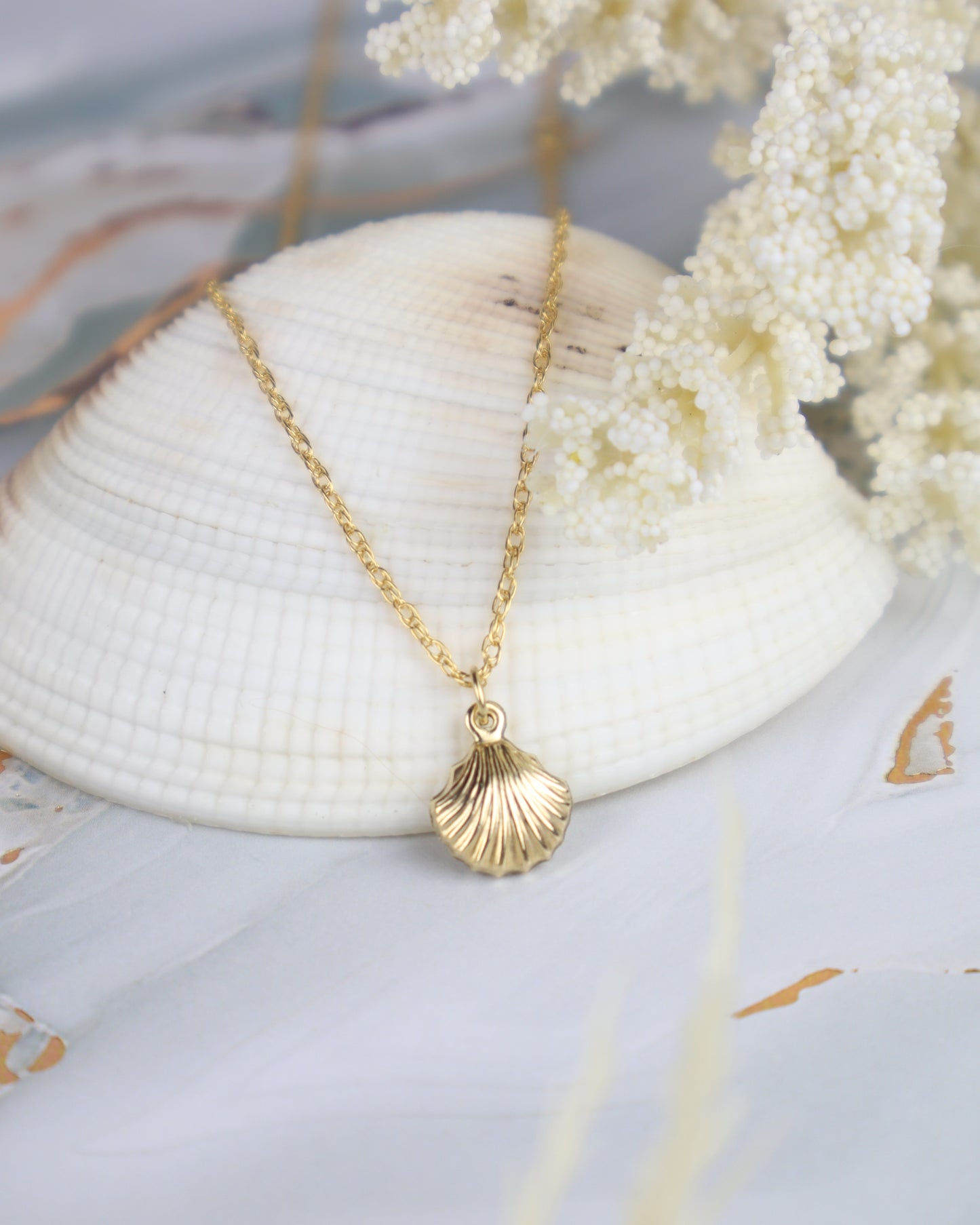 Gold necklace with a shell pendant on a white shell and floral background