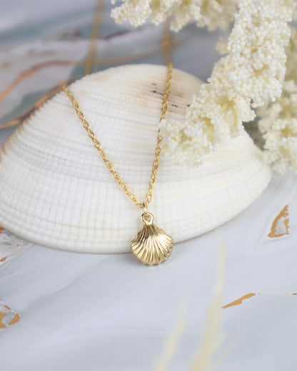 Gold necklace with a shell pendant on a white shell and floral background