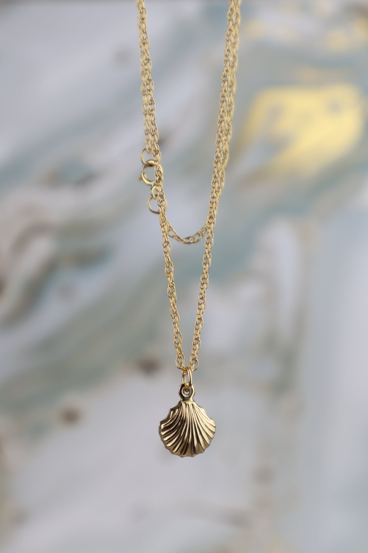Gold necklace with a shell pendant on a blurred background