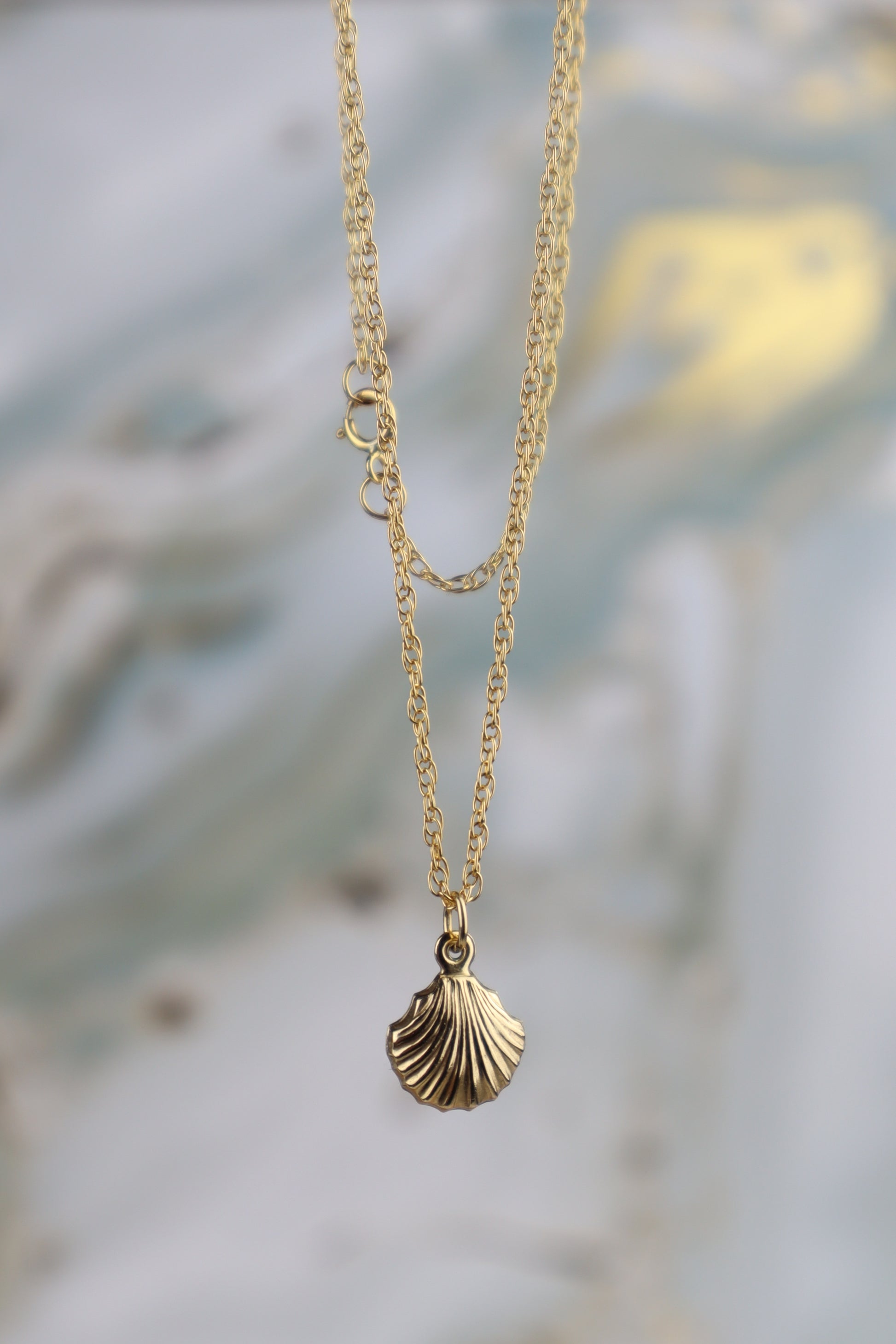 Gold necklace with a shell pendant on a blurred background