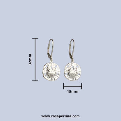 Silver earrings with measurements on a light blue background, featuring the brand 'Rosaperlina'.