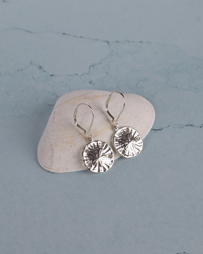sterling sand dollar earrings resting on a shell