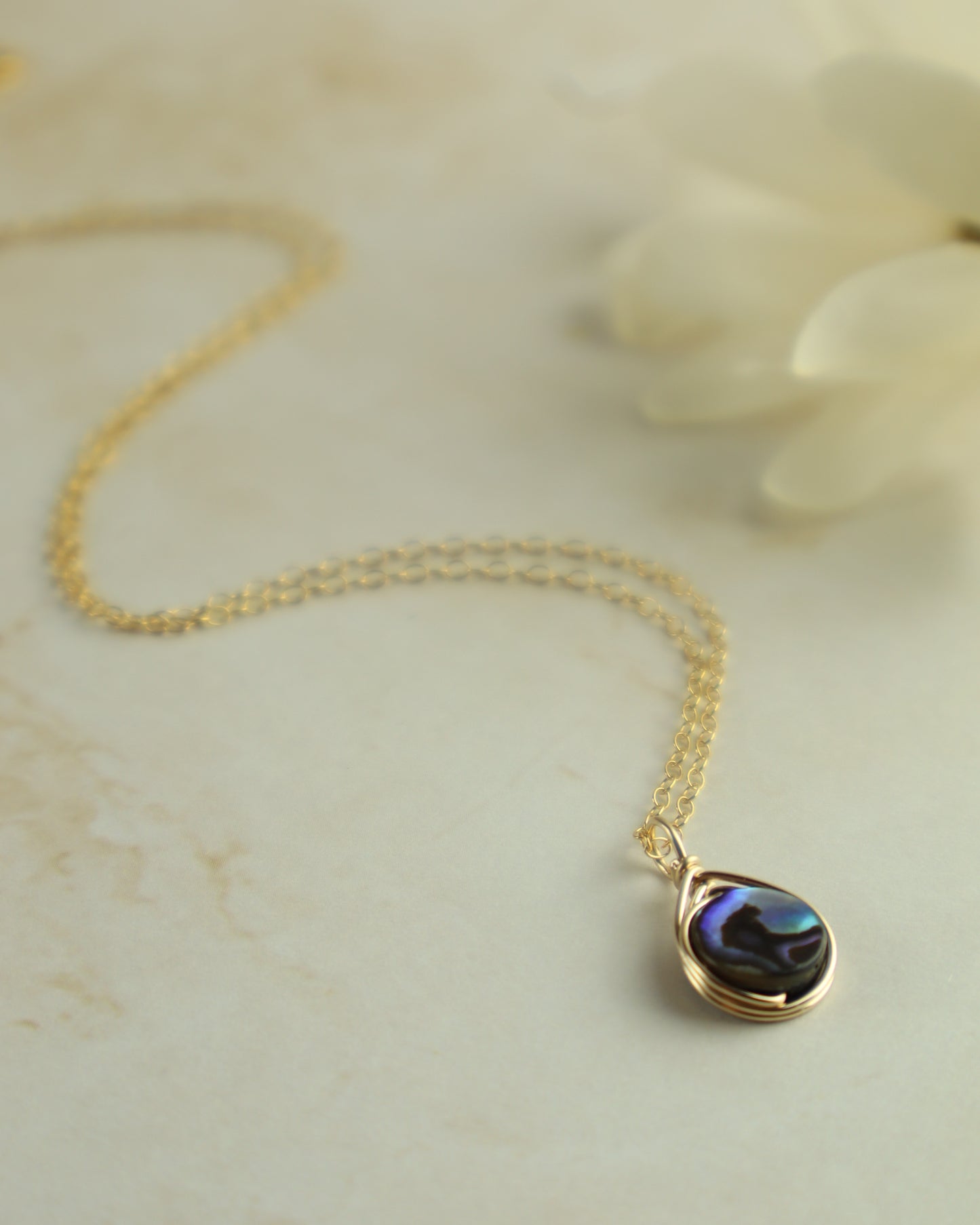 abalone necklace on beige background