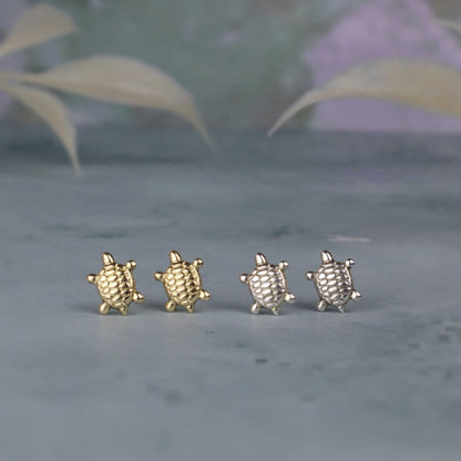 Mini Sea Turtle Earring Stud Earrings (Sterling Silver) (14k Gold-Filled)